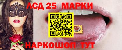 спиды Владимир