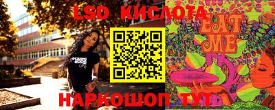 СК Владивосток