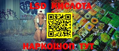 СК Владивосток