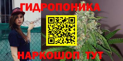 спиды Владимир