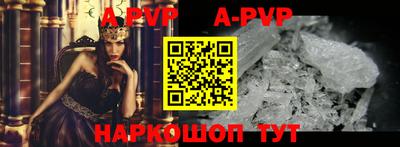 спиды Владимир