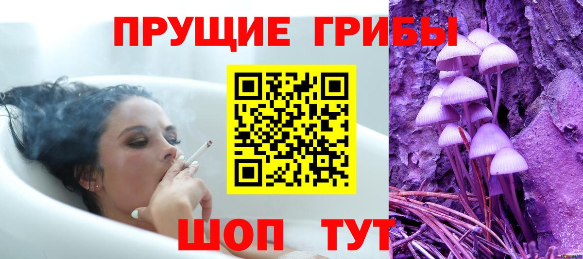 Псилоцибиновые грибы MAGIC MUSHROOMS  Галлюциногенные грибы мицелий  Вход с VPN  Богданович 