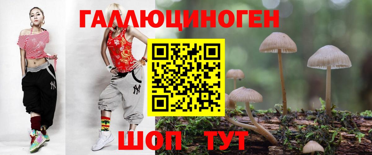 Галлюциногенные грибы Cubensis Богданович